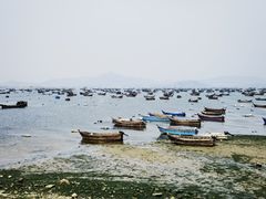-春妮海味饭店·海景餐厅·海菜包子·大连海鲜