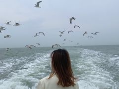 -海驴岛(荣成市)