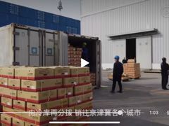 -韩家墅海吉星农产品批发市场
