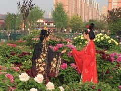 -曹州百花园