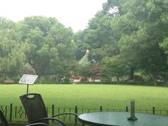 -申粤轩酒楼·三十年粤菜经典(丁香花园店)