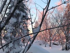 -雪谷