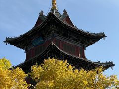 -迎泽公园