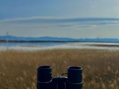 -野鸭湖国家湿地公园