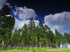 -塞罕坝国家级自然保护区