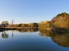 -新江湾城公园