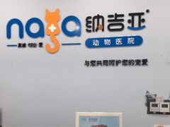 -纳吉亚猫专科动物诊疗中心(蒋宅口分院)