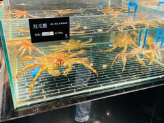 -江滨九号.中餐厅(滨江店)