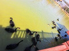 -无锡动物园·太湖欢乐园