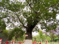 -东台西溪天仙缘景区