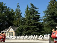 -日照海滨国家森林公园