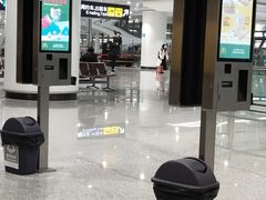 -麦当劳(北京大兴机场二层国内到达(安检外)店)