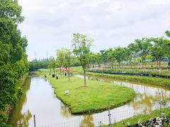 -上海长兴岛郊野公园