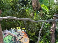 -广州长隆野生动物世界