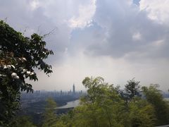 -紫金山天文台