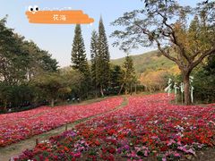 -青青世界