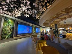 -星河湾温泉洗浴酒店