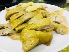 -霞海鸭仔饭店(海滨大道北店)