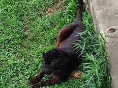 -西霞口神雕山野生动物世界