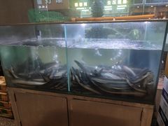 水产区-本炙炭烤·蒲烧活鳗料理店(金沙洲店)