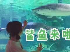 -华夏文旅海洋公园