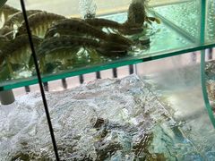 -凯华海鲜火锅·传承三十六年