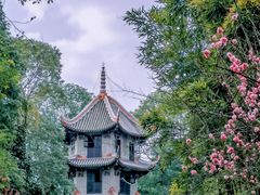 -成都杜甫草堂博物馆