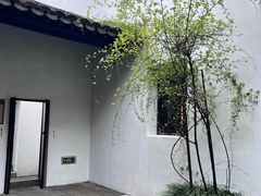 -南京民俗博物馆(甘熙故居)