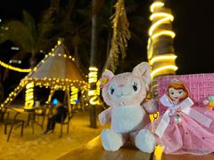 -海南清水湾莱佛士酒店