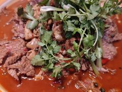 -漳河青花椒鱼头火锅