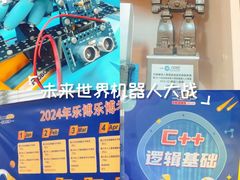-乐博乐博少儿编程·AI机器人编程·信息学竞赛(桃园校区)