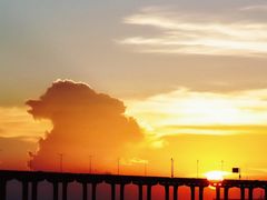 -宝安西湾红树林湿地公园