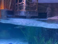 -沈阳海洋探索中心