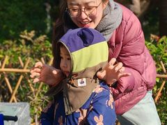 -自然谷恐龙园