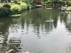 -杭州西湖柳莺里酒店