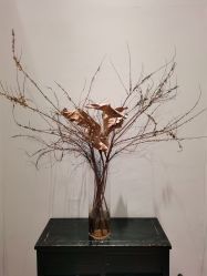 -无界瑜伽普拉提