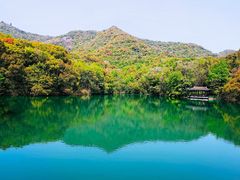 -杭州半山国家森林公园