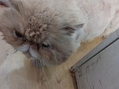 -鑫亮视光·蔡司品牌折扣店·配镜(哈工大科学园店)