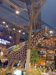 -卡通尼·Safari非洲探索乐园·生日会(金桥国际商业广场店)