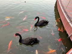 -春晖园度假酒店温泉