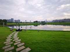 -洋湖国家湿地公园