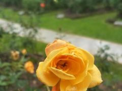 景点-人民公园(罗湖区)