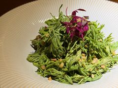 -本处·素食·融合料理(南油店)