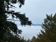 -九华山风景区