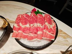 -汤城·料青山