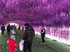 -绿野森林乐园冰雪季