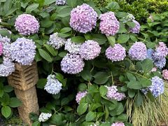 -常州古运河南大街文化旅游区-人民公园