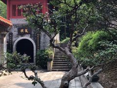 -南沙天后宫景区