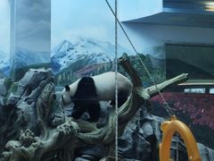 -武汉动物园