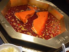 -蜀九香火锅(彩虹店)